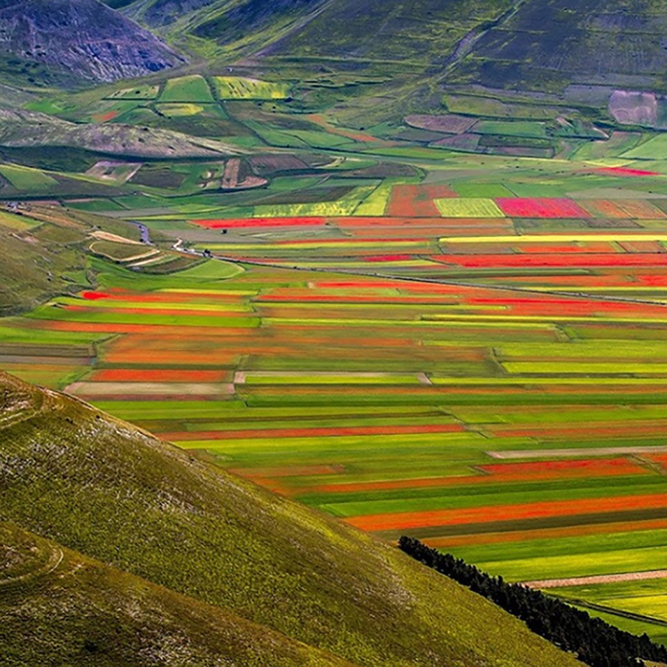 Piana di Castelluccio di Norcia colpita dal terremoto