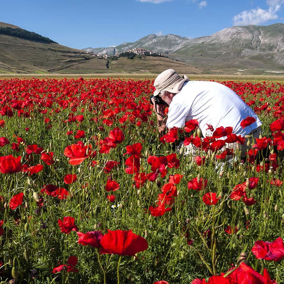 La rifioritura della piana di Castelluccio di Norcia