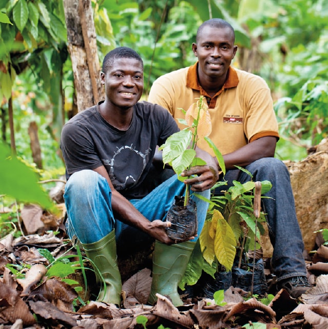 Perugina supporta i coltivatori di cacao