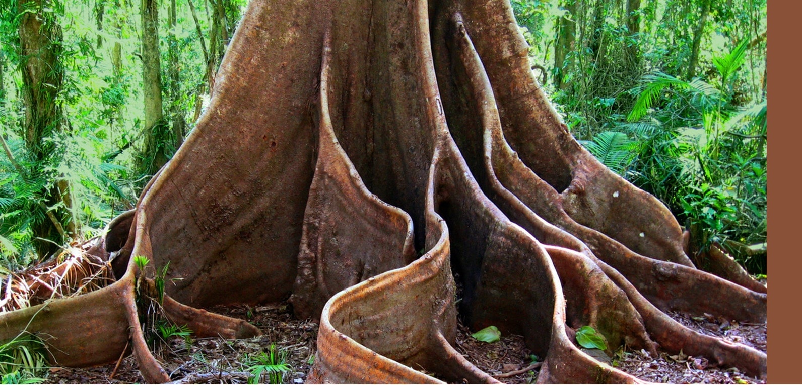 In nome della natura