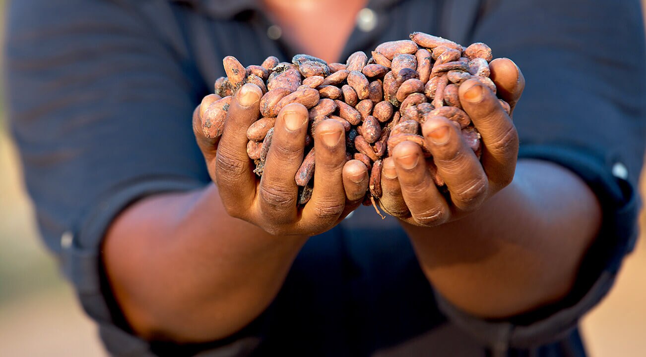 Perugina utilizza solo fave di cacao selezionate per i suoi prodotti. Perugina utilizza solo fave di cacao selezionate per i suoi prodotti.