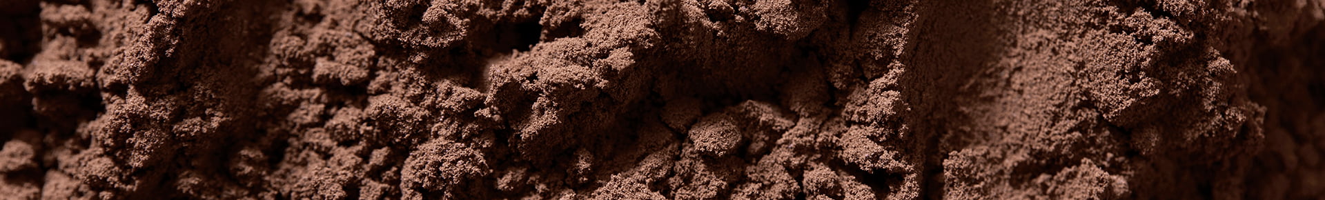 Polvere di cacao Perugina extra dark